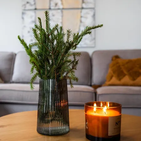 아파트 Arctic Mustache