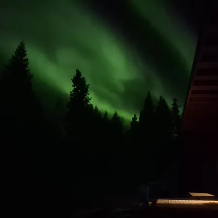 Arctic Mustache * 로바니에미