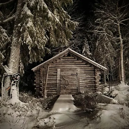 아파트 Arctic Mustache