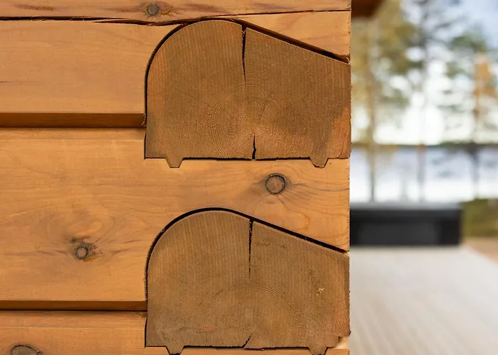 Διαμέρισμα Arctic Mustache Ροβανιέμι