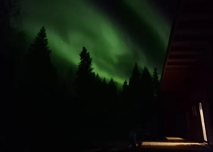 Arctic Mustache * Rovaniemi